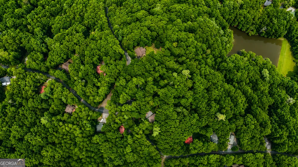 J208 Pine Ridge RD Ellijay, GA 30536