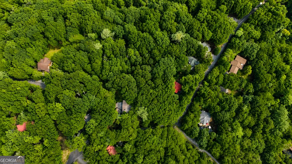 J208 Pine Ridge RD Ellijay, GA 30536