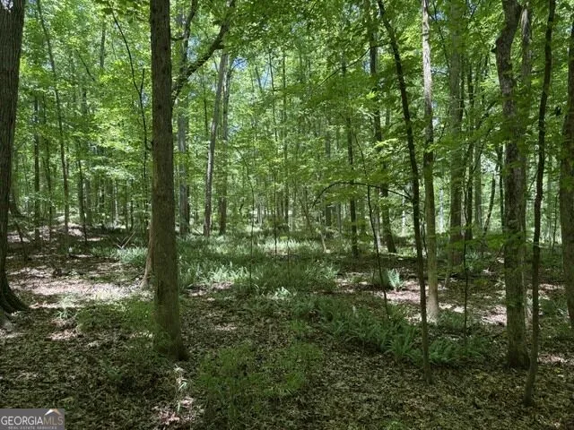 0 Kendricks Mill RD Crawfordville, GA 30631