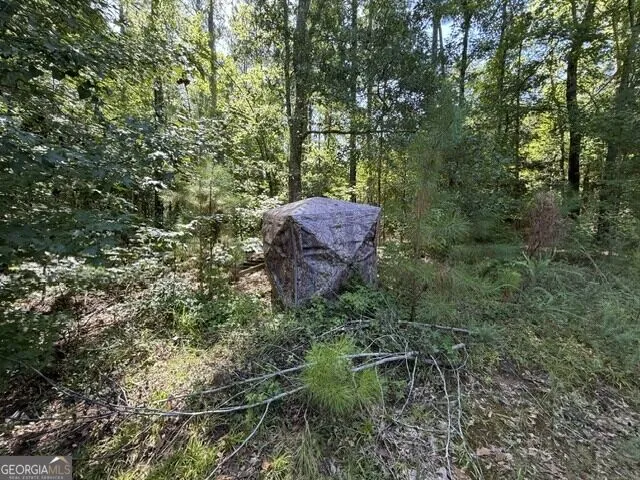 0 Kendricks Mill RD Crawfordville, GA 30631