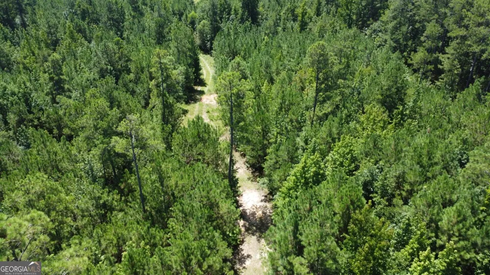 0 Kendricks Mill RD Crawfordville, GA 30631