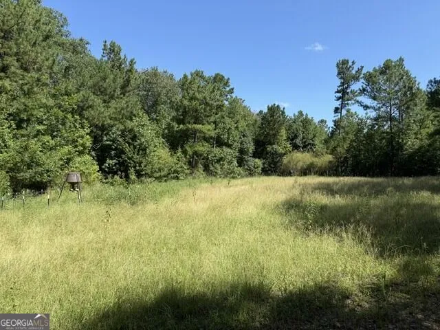 0 Kendricks Mill RD Crawfordville, GA 30631