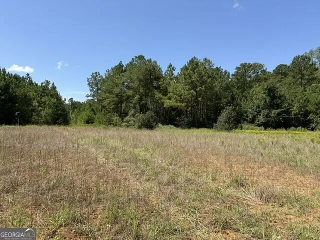 0 Kendricks Mill RD Crawfordville, GA 30631