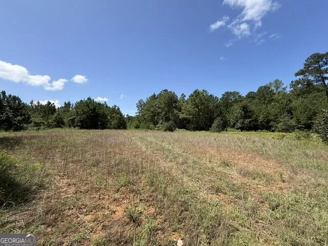 0 Kendricks Mill RD Crawfordville, GA 30631