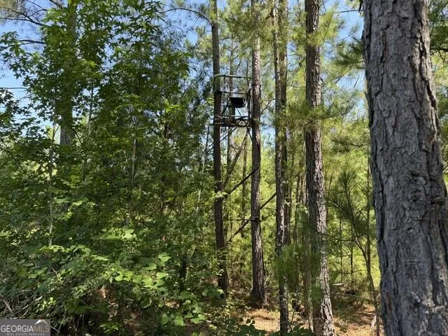 0 Kendricks Mill RD Crawfordville, GA 30631