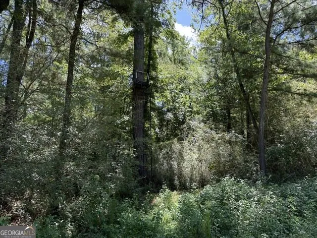 0 Kendricks Mill RD Crawfordville, GA 30631