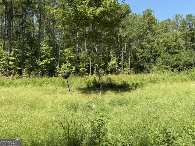 0 Kendricks Mill RD Crawfordville, GA 30631