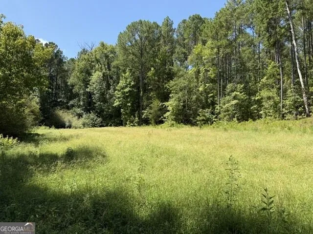 0 Kendricks Mill RD Crawfordville, GA 30631