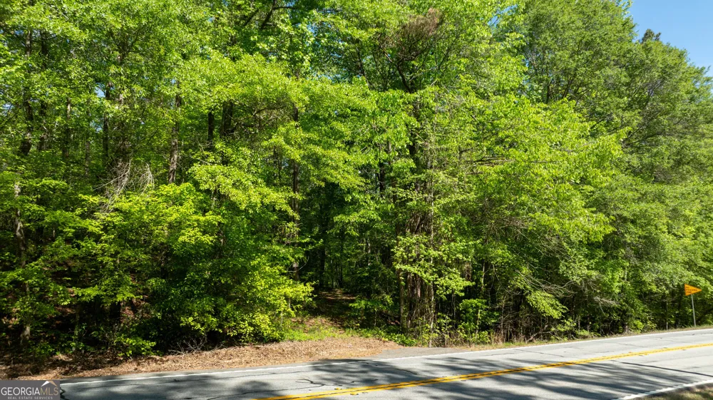 0 Highway 54 Senoia, GA 30276