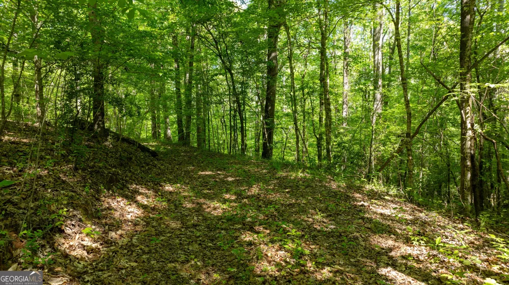 0 Highway 54 Senoia, GA 30276