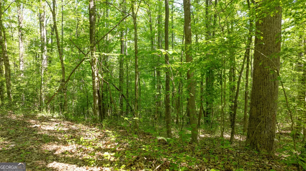 0 Highway 54 Senoia, GA 30276