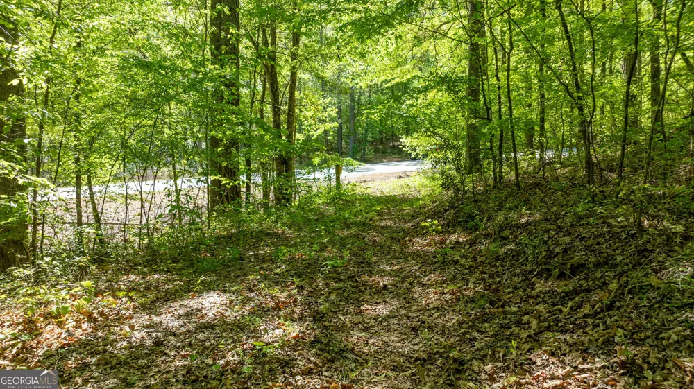 0 Highway 54 Senoia, GA 30276