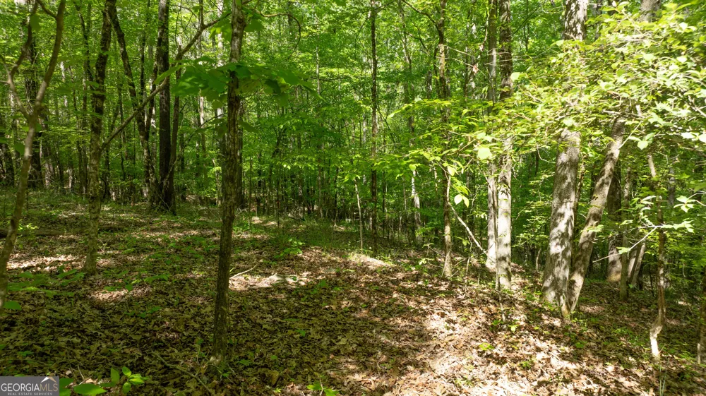 0 Highway 54 Senoia, GA 30276