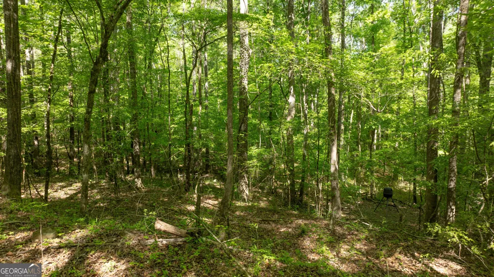 0 Highway 54 Senoia, GA 30276