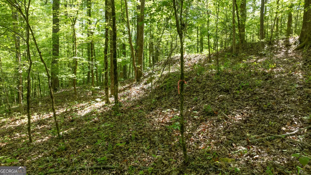 0 Highway 54 Senoia, GA 30276