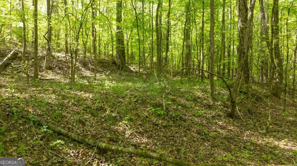 0 Highway 54 Senoia, GA 30276