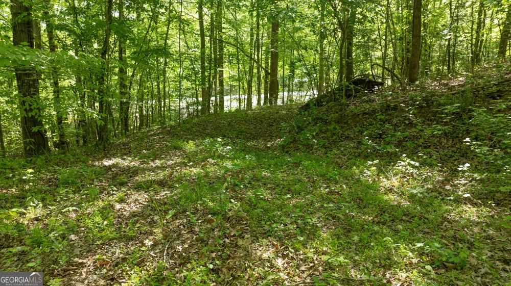 0 Highway 54 Senoia, GA 30276