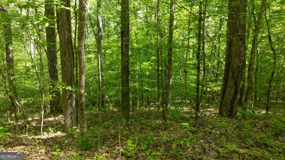 0 Highway 54 Senoia, GA 30276