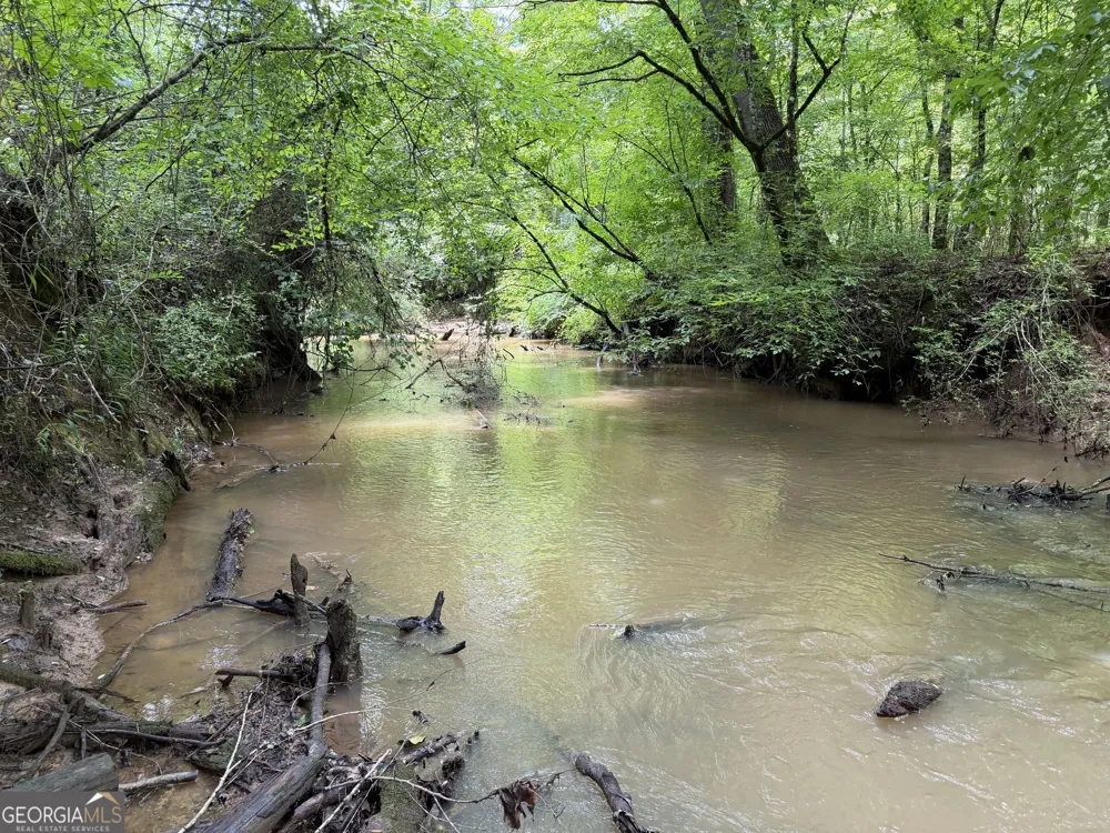 +/- 190 AC Bevis RD Franklin, GA 30217