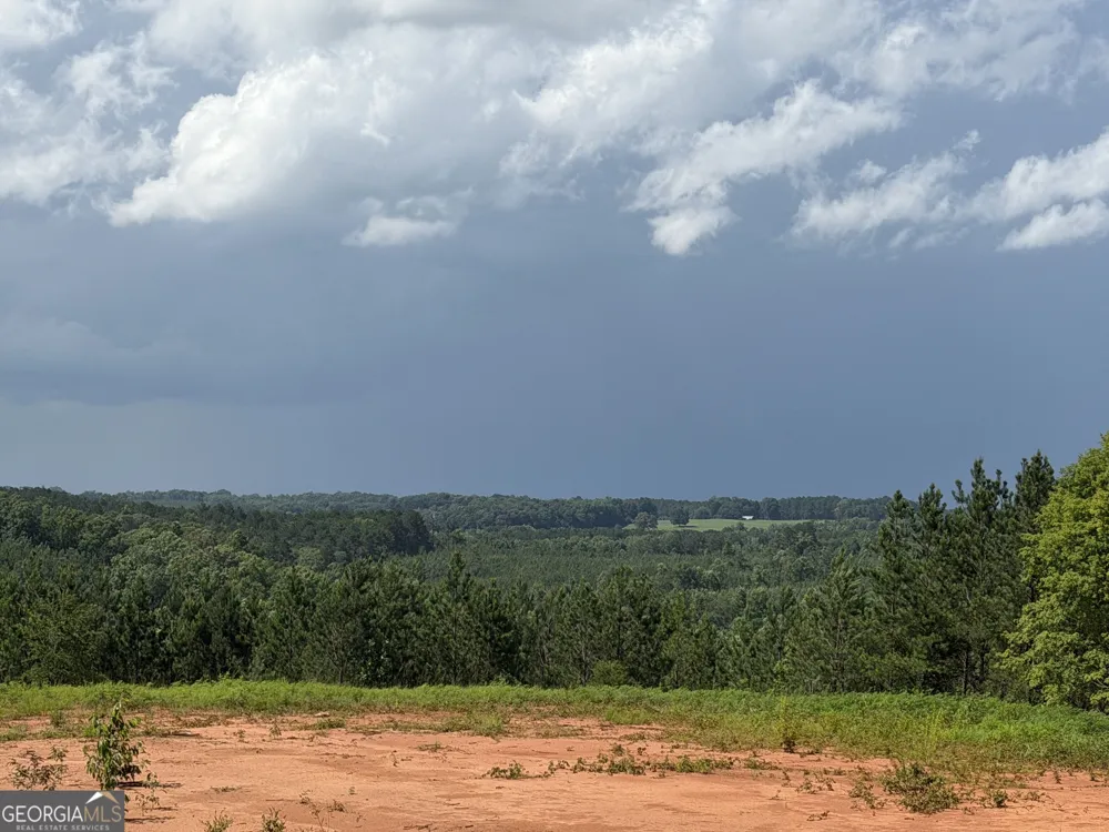 +/- 190 AC Bevis RD Franklin, GA 30217