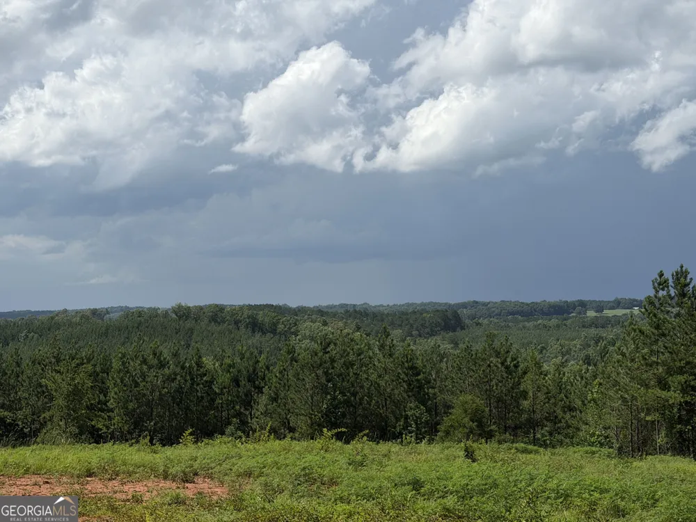+/- 190 AC Bevis RD Franklin, GA 30217