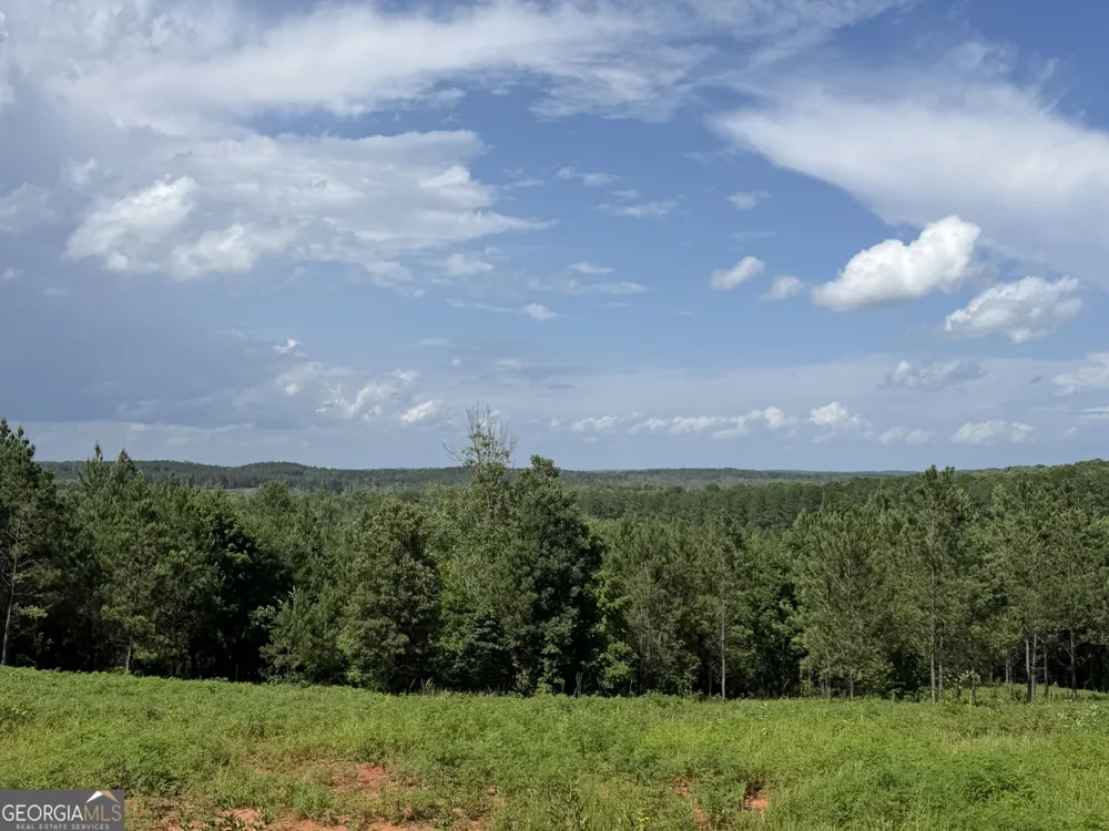 +/- 190 AC Bevis RD Franklin, GA 30217