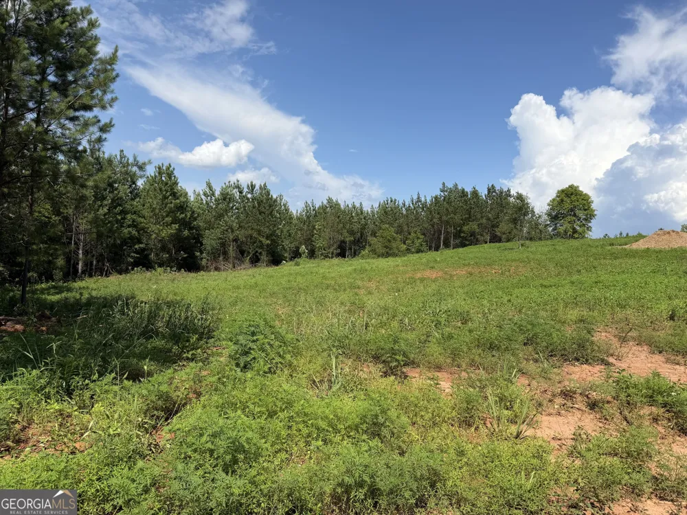 +/- 190 AC Bevis RD Franklin, GA 30217