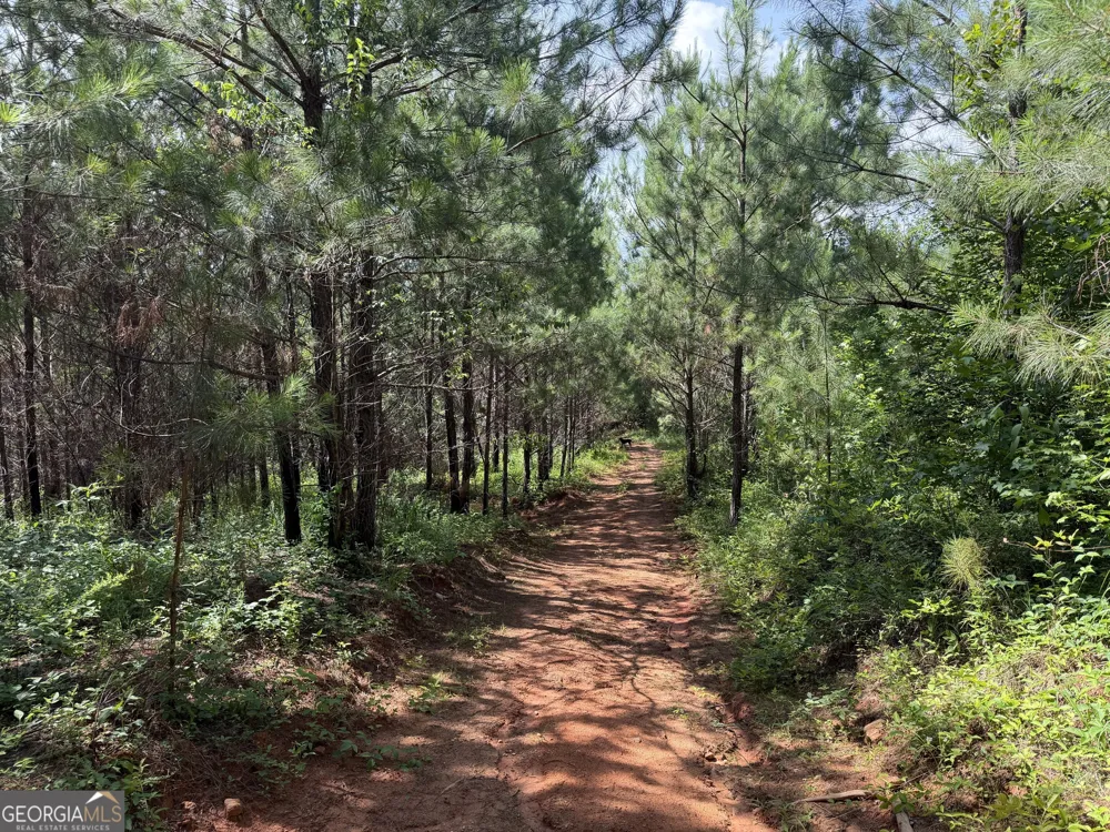 +/- 190 AC Bevis RD Franklin, GA 30217