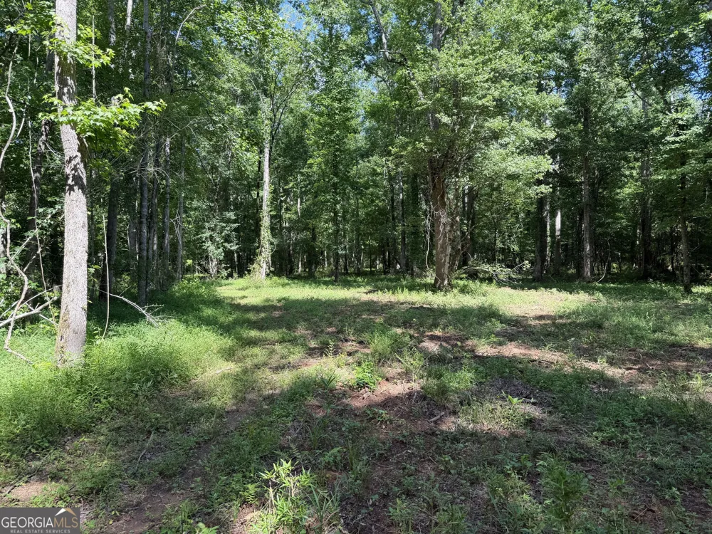 +/- 190 AC Bevis RD Franklin, GA 30217
