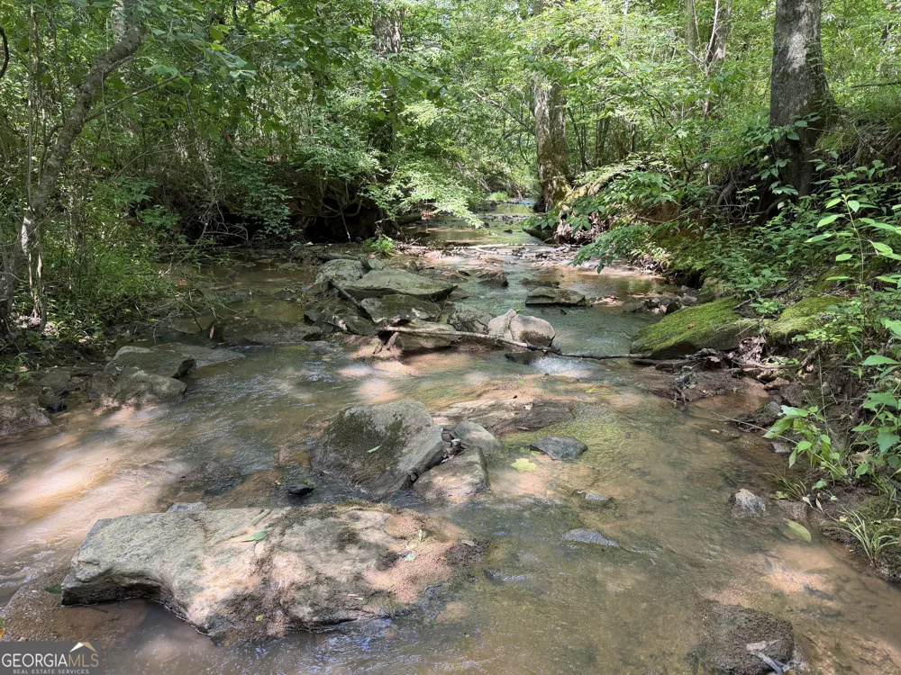 +/- 190 AC Bevis RD Franklin, GA 30217