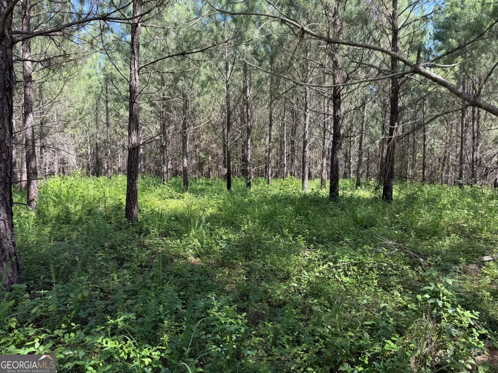 +/- 190 AC Bevis RD Franklin, GA 30217