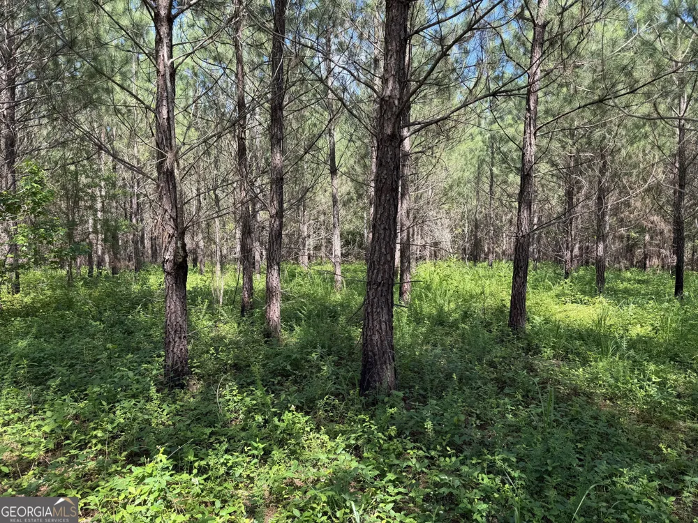 +/- 190 AC Bevis RD Franklin, GA 30217