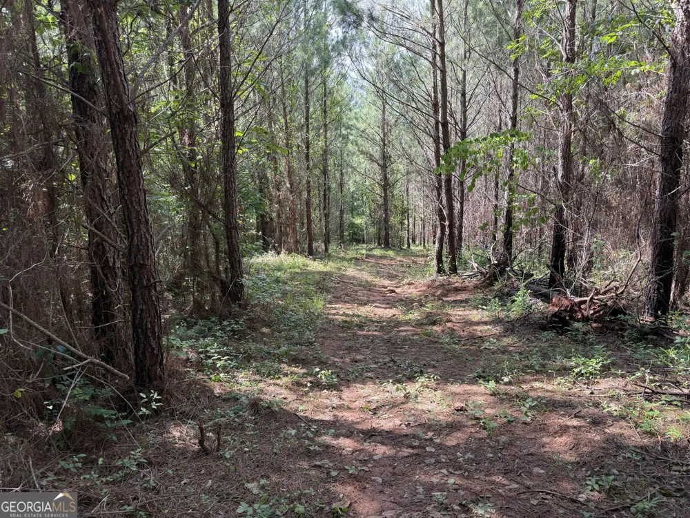 +/- 190 AC Bevis RD Franklin, GA 30217