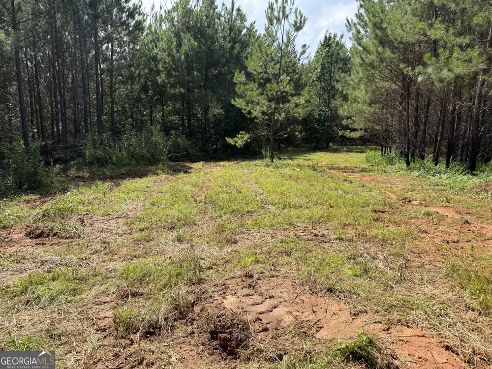 +/- 190 AC Bevis RD Franklin, GA 30217