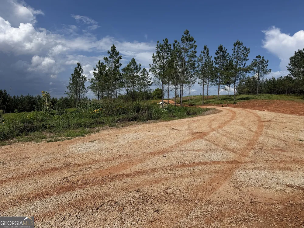 +/- 190 AC Bevis RD Franklin, GA 30217