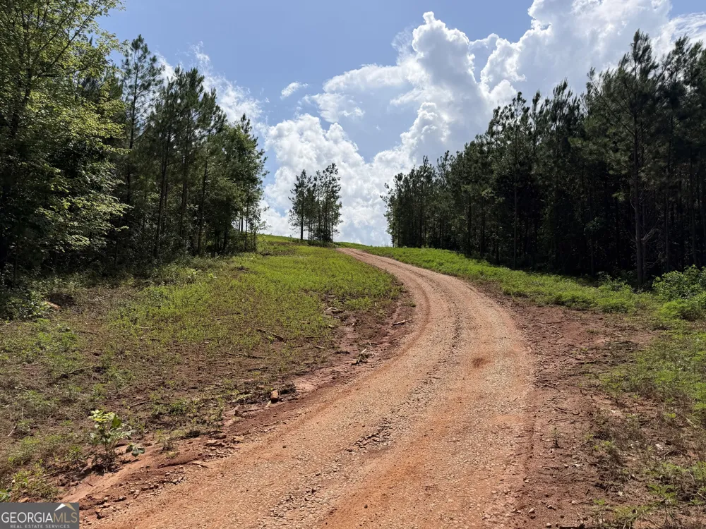 +/- 190 AC Bevis RD Franklin, GA 30217