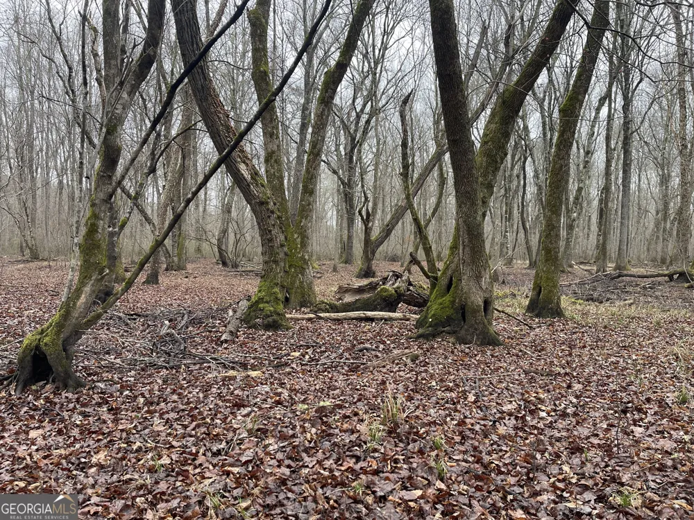 +/- 190 AC Bevis RD Franklin, GA 30217