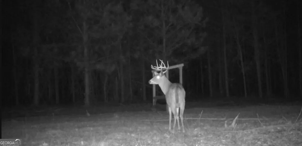 +/- 190 AC Bevis RD Franklin, GA 30217
