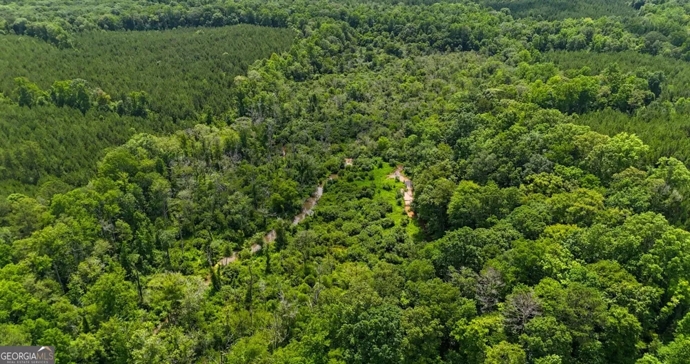 +/- 190 AC Bevis RD Franklin, GA 30217