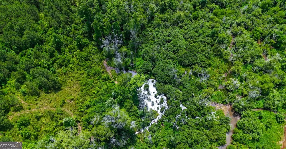 +/- 190 AC Bevis RD Franklin, GA 30217
