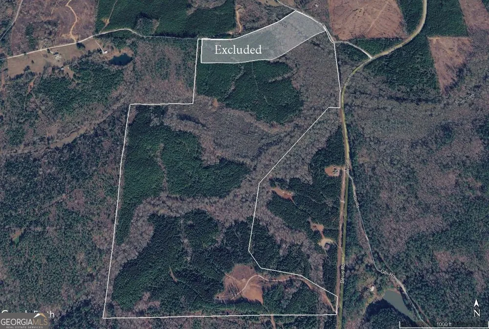 +/- 190 AC Bevis RD Franklin, GA 30217