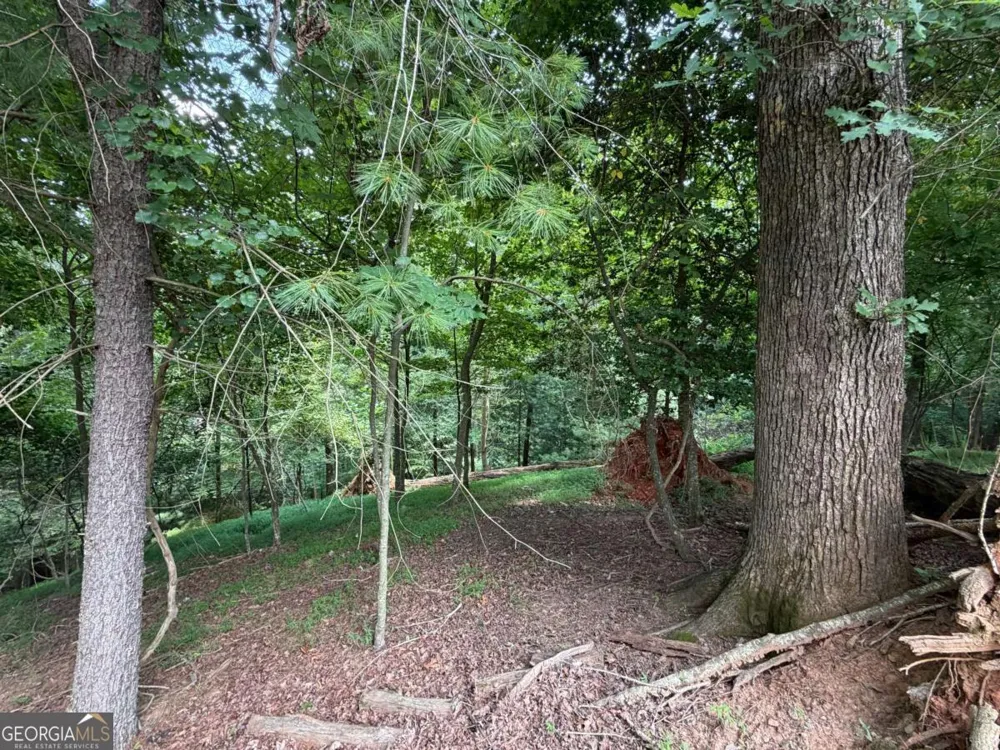 LOT 403 Crown CT Ellijay, GA 30540