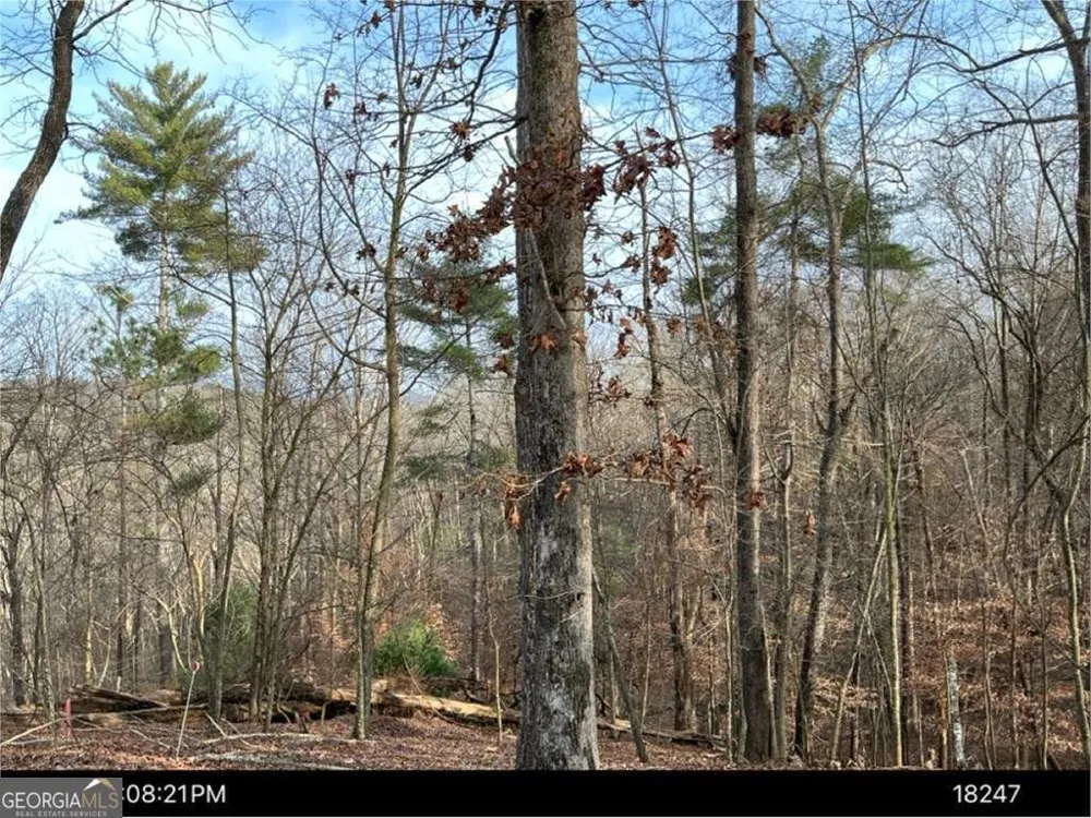 LOT 403 Crown CT Ellijay, GA 30540