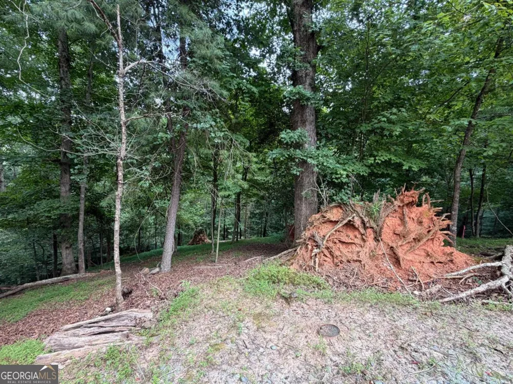 LOT 403 Crown CT Ellijay, GA 30540