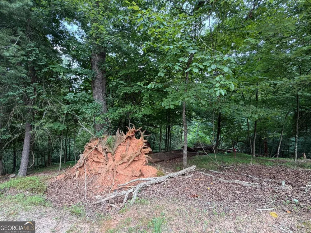 LOT 403 Crown CT Ellijay, GA 30540