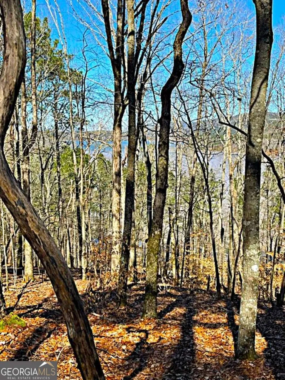 0 Overlook DR Chatsworth, GA 30705