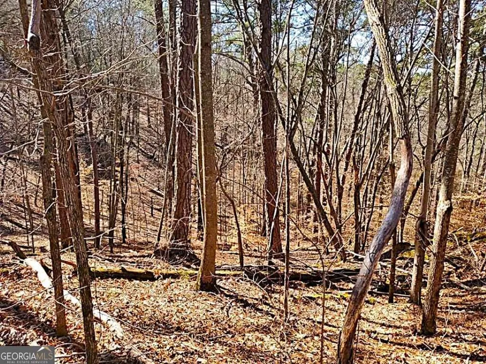 0 Overlook DR Chatsworth, GA 30705