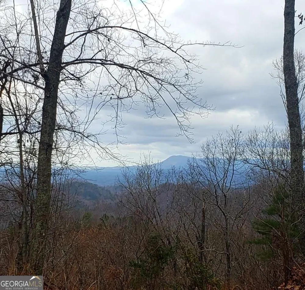 0 Overlook DR Chatsworth, GA 30705