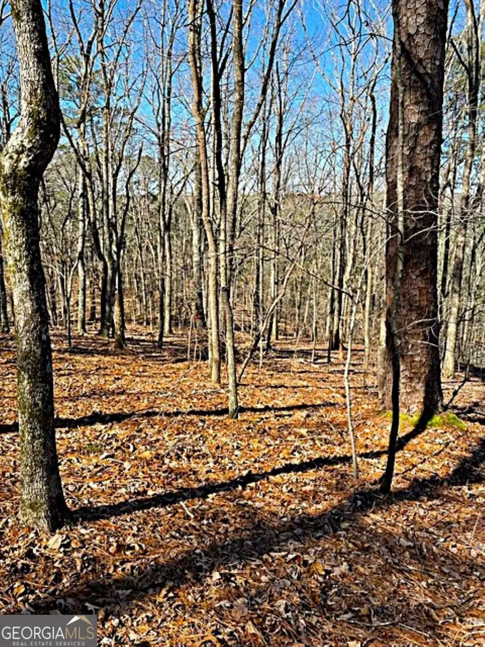 0 Overlook DR Chatsworth, GA 30705