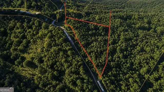 0 Roaring Forks LN Ellijay, GA 30540